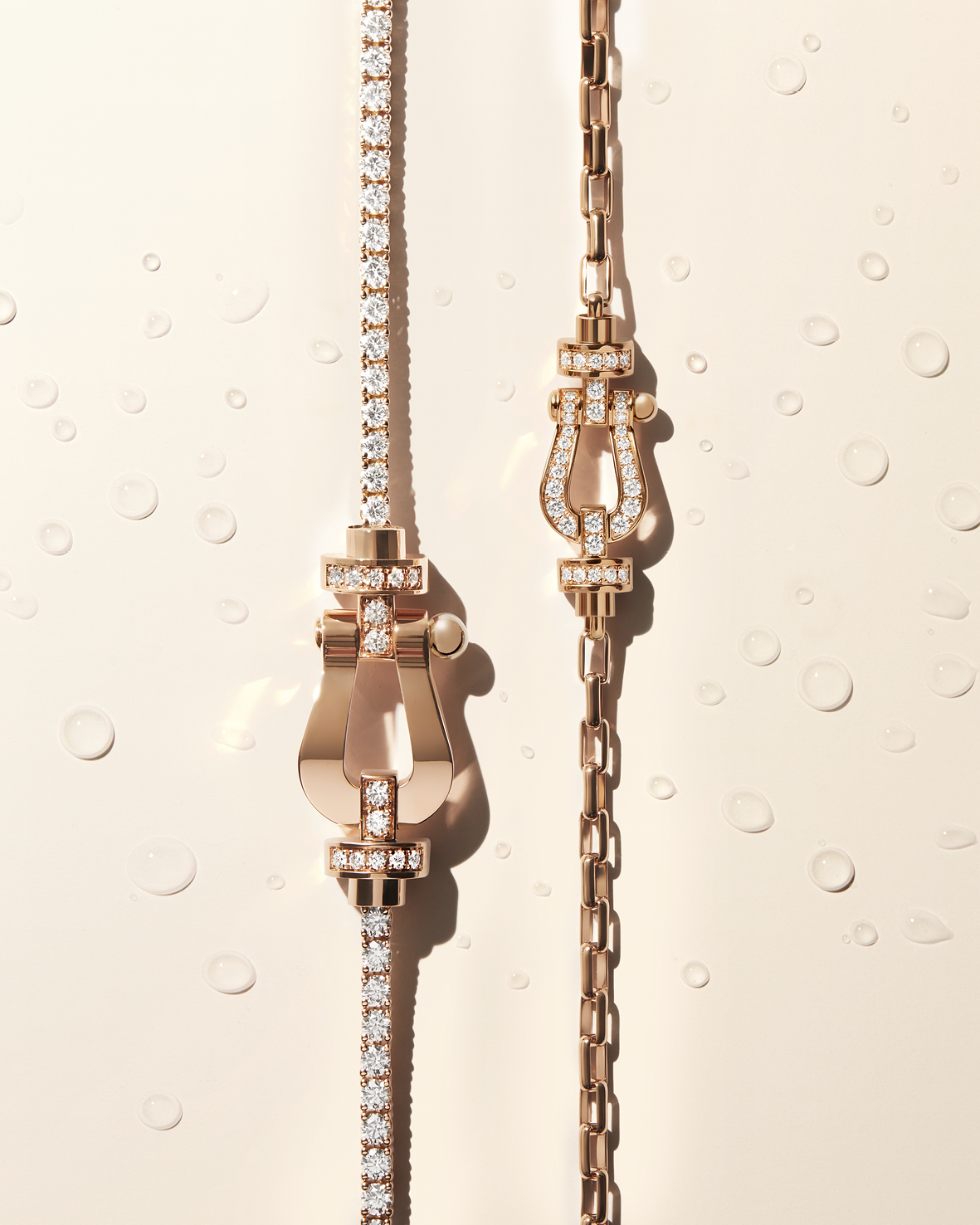 Force 10系列 © Fred