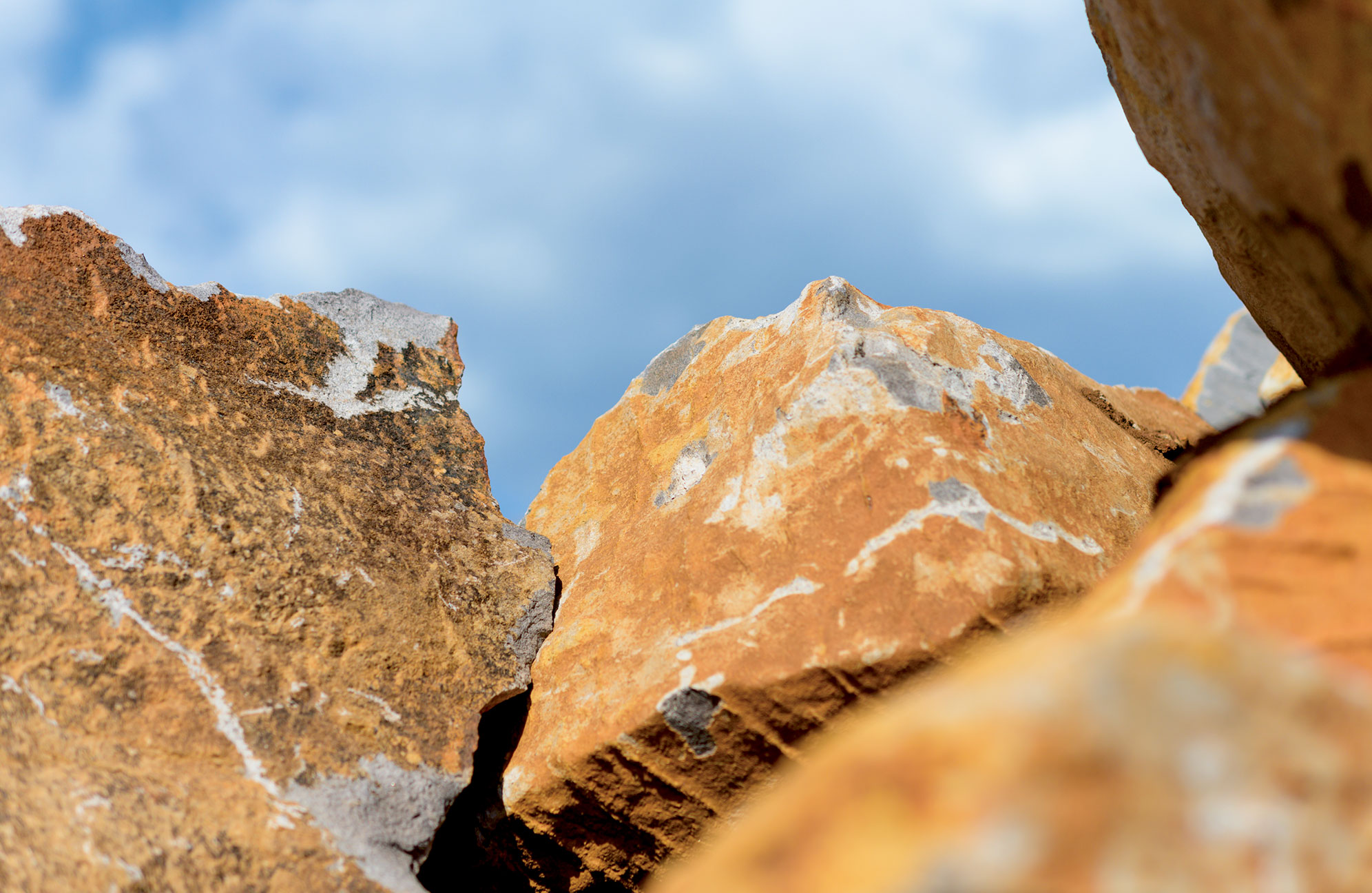 从九号庄园现场移出的火山巨石 © Colgin Cellars