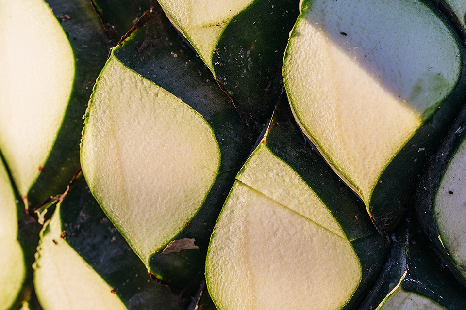 精选并混合来自低地和高地地区品质上乘的龙舌兰。