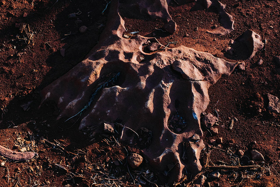 依托富含玄武岩和铁元素的土壤,我们探索并研发出香气四溢的龙舌兰酒。