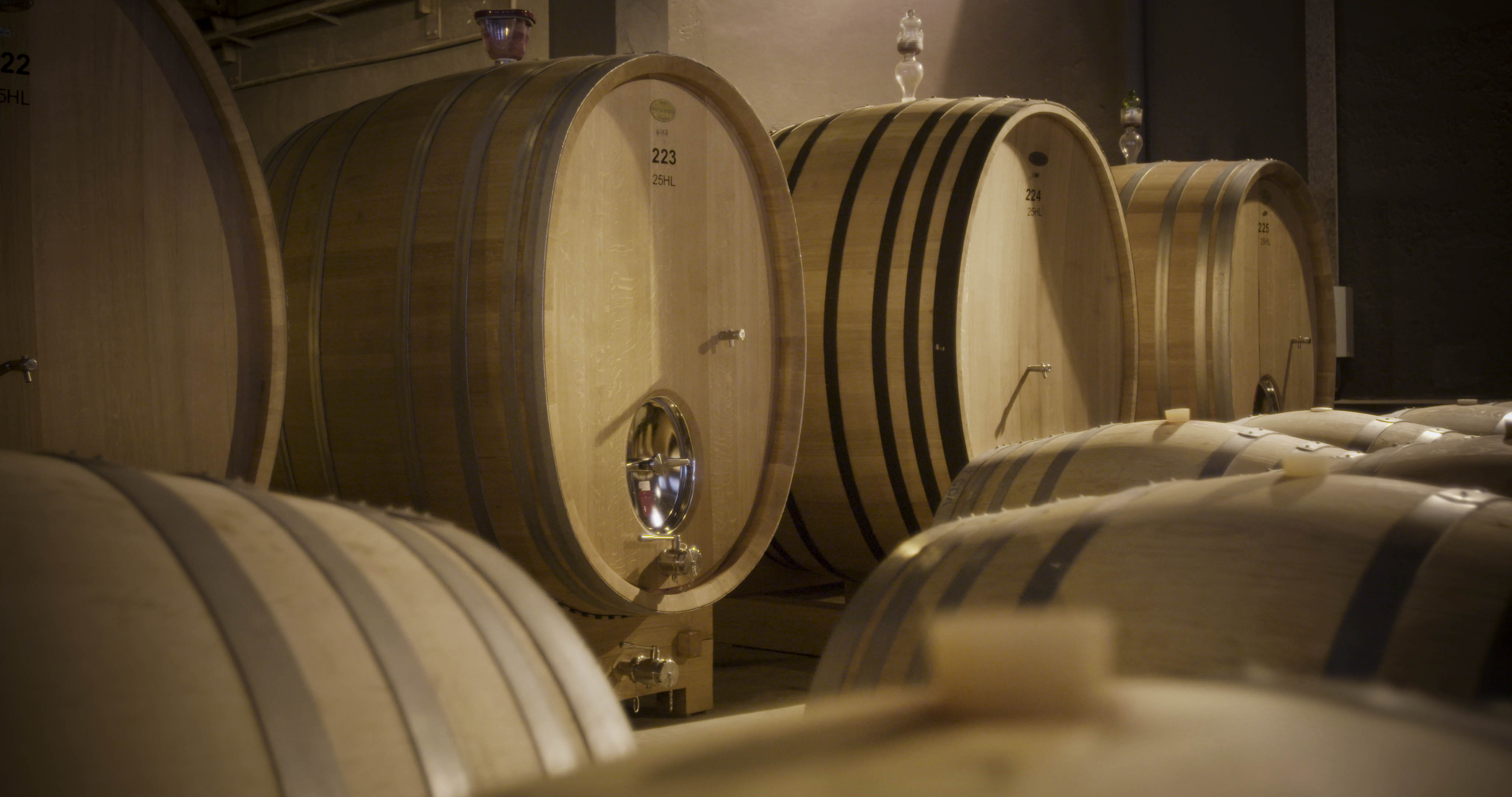Cheval des Andes旗下“foudres（大型酒桶）” 酒窖