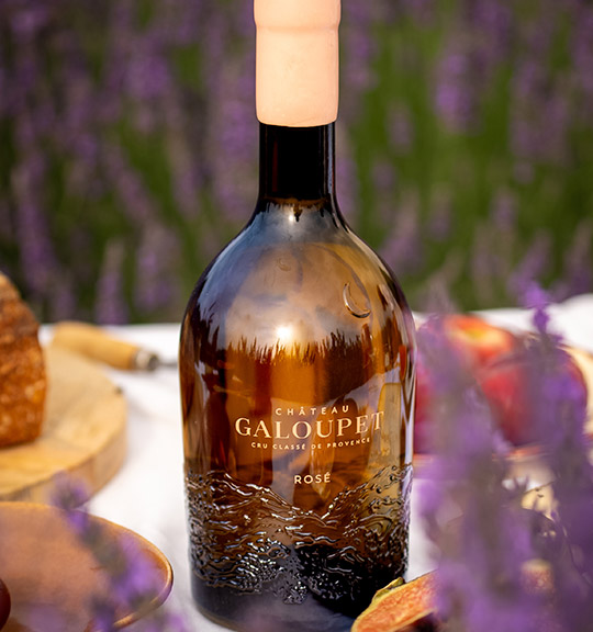 Château Galoupet Cru Classé © Margot Mchn