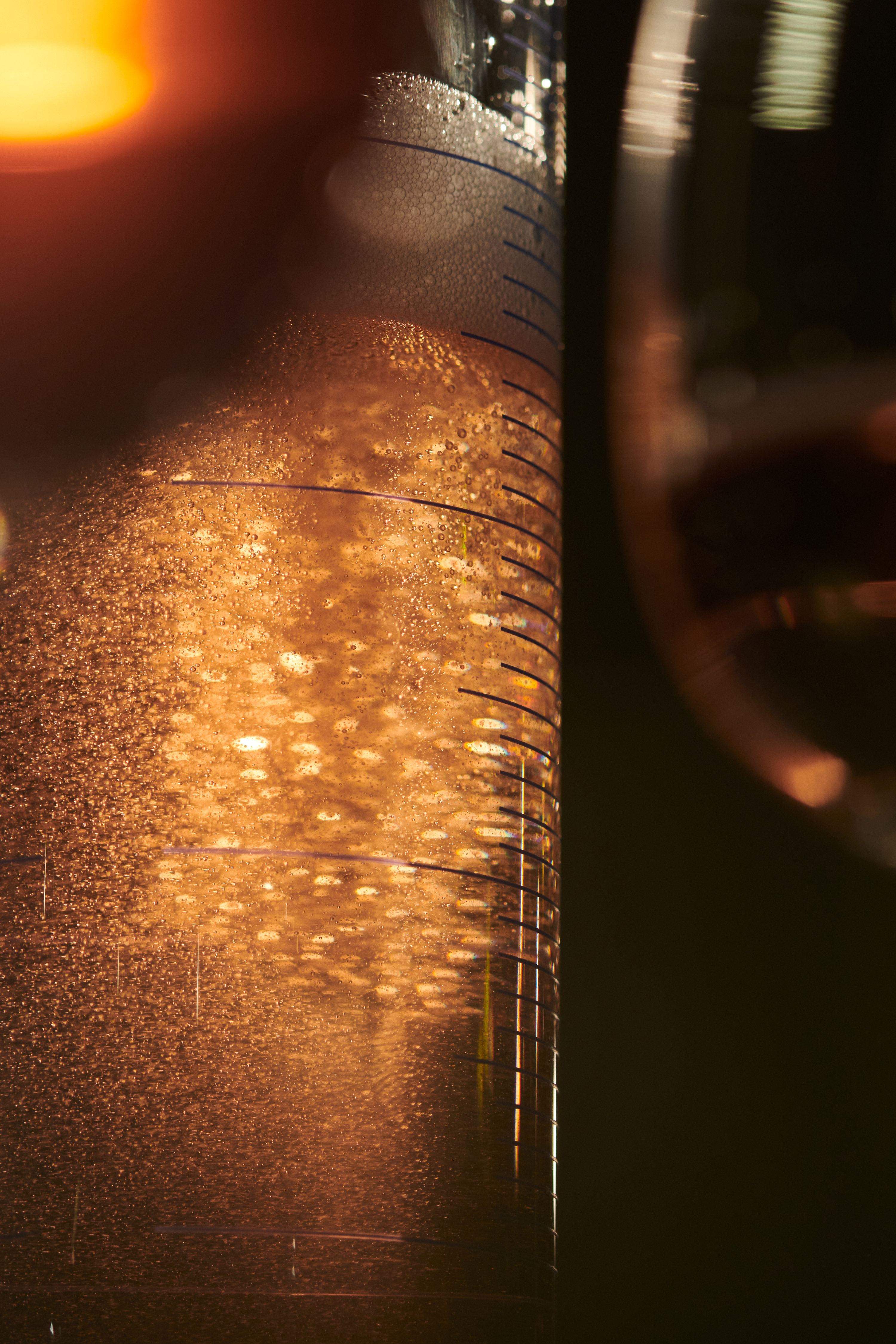© Chandon Brazil