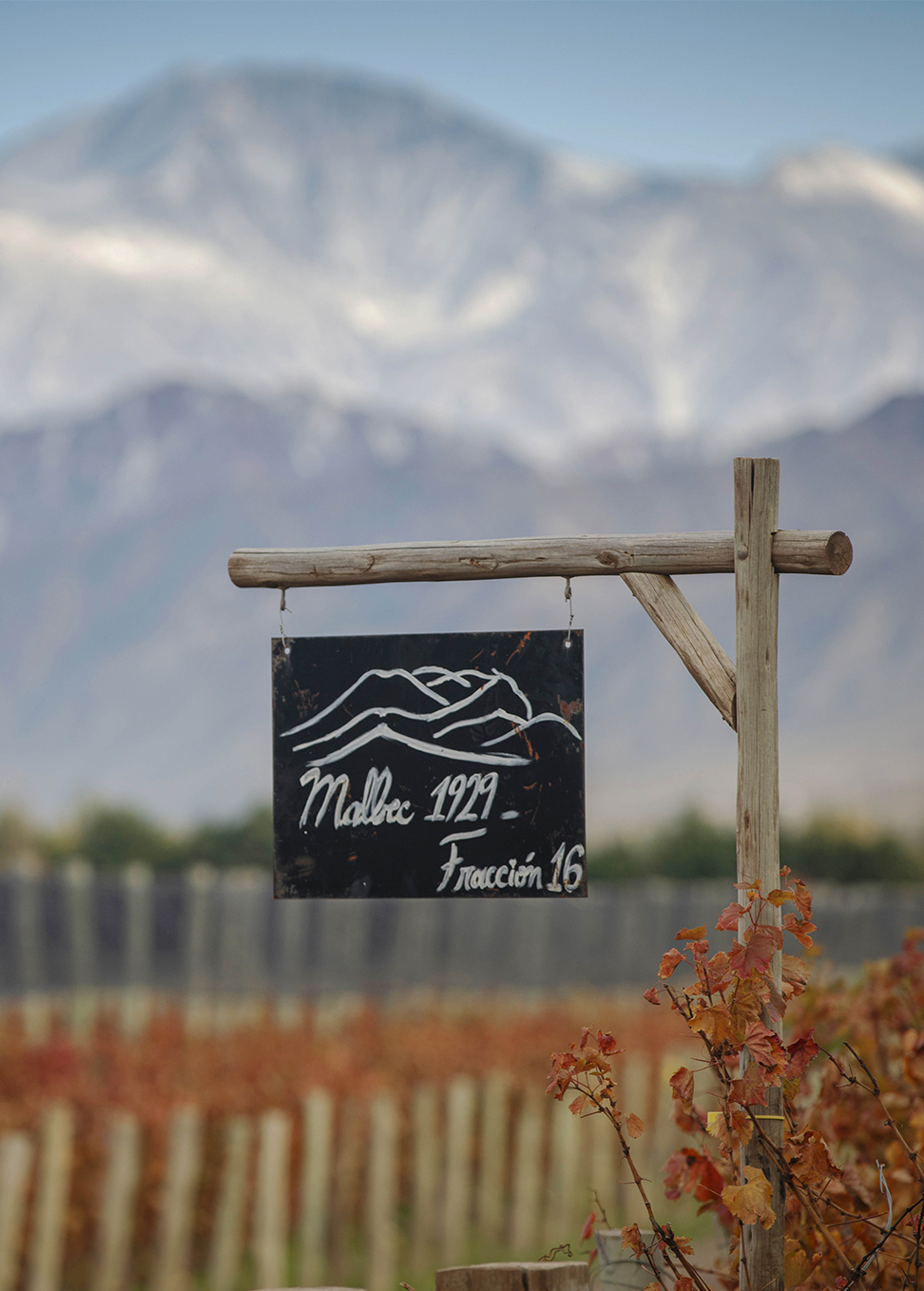 Cheval des Andes的视觉展示 © Cheval des Andes