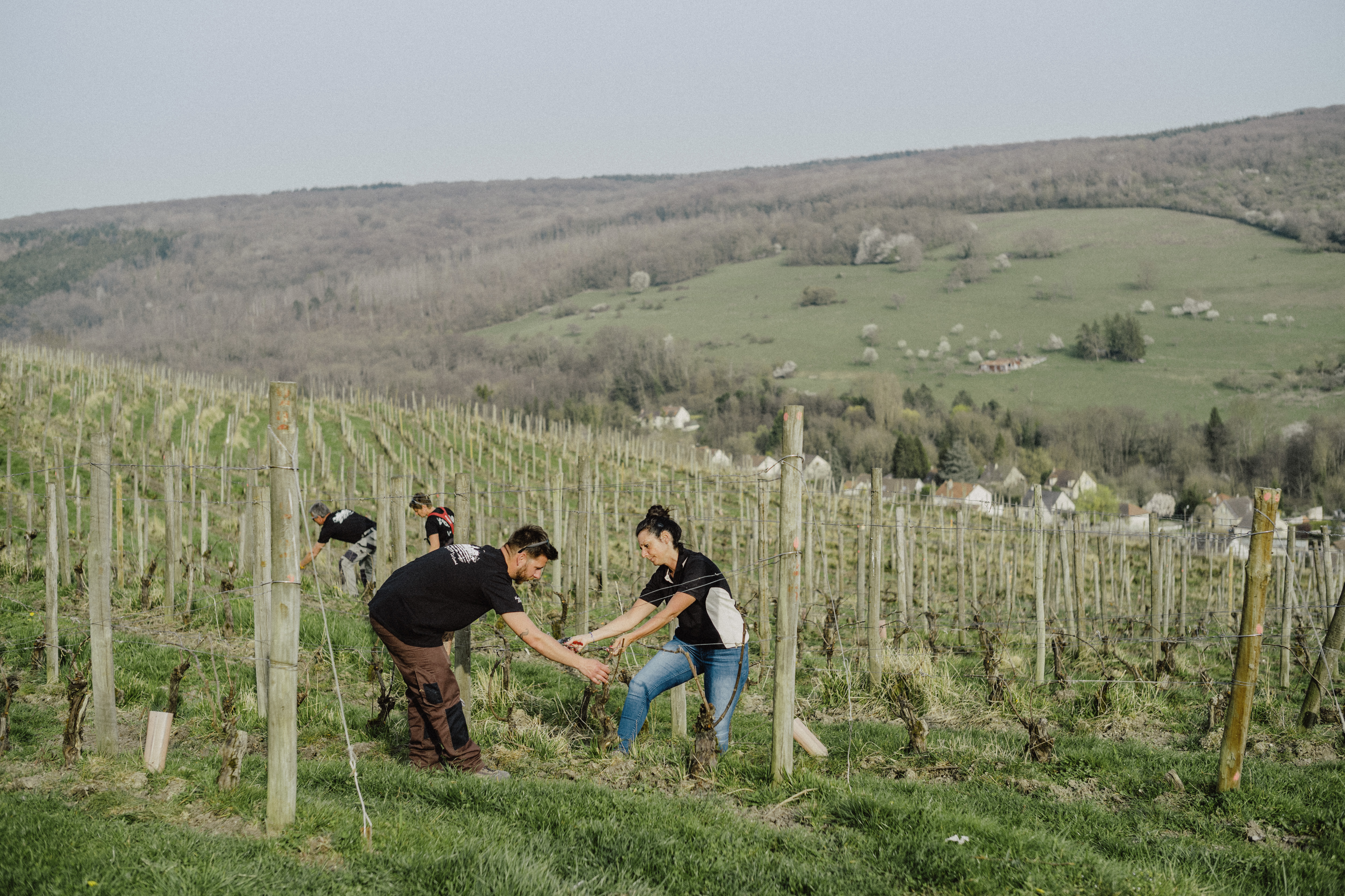 可持续发展封面