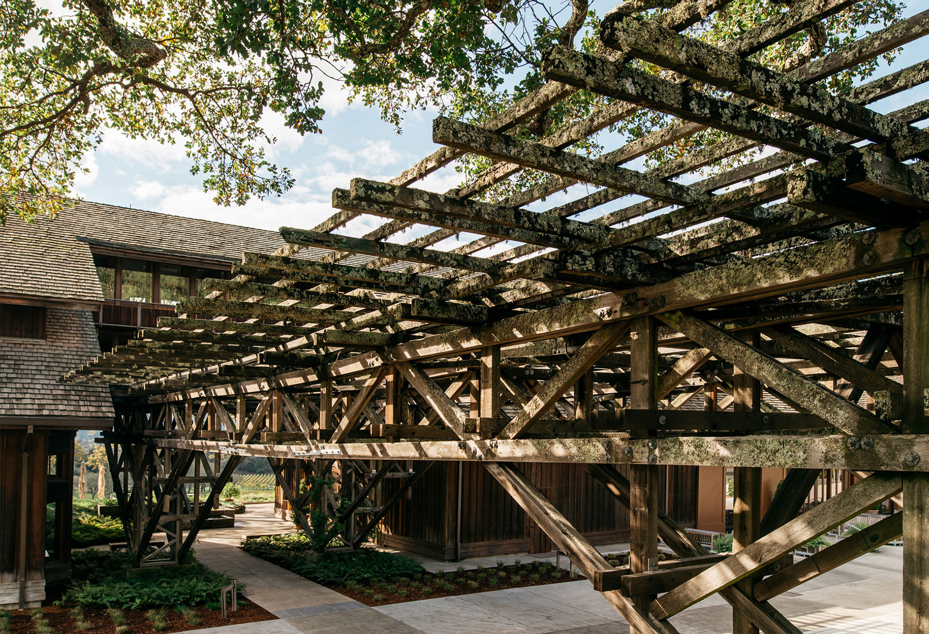 Joseph Phelps酒庄棚架入口 © Matt Morris