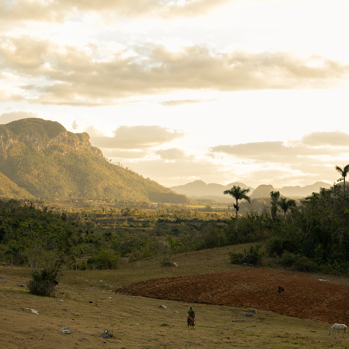 古巴风景 © Eminente