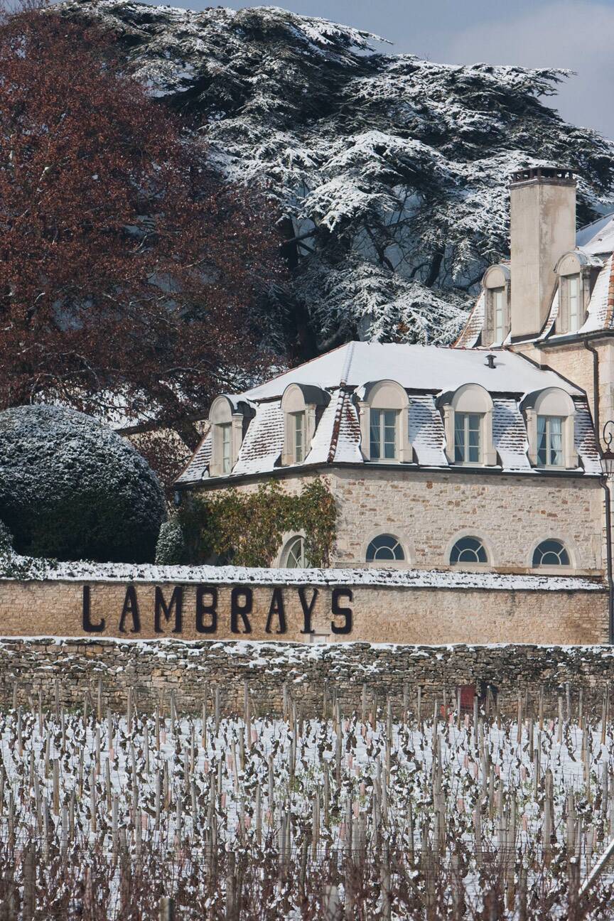 冬天的橘园温室 © JL Bernuy