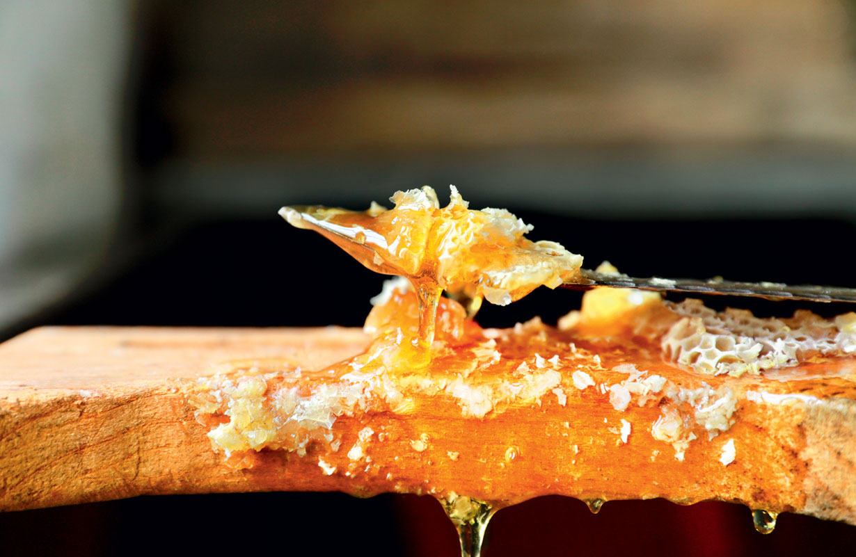 法国Ouessant岛的蜂蜜© Yi ZHOU