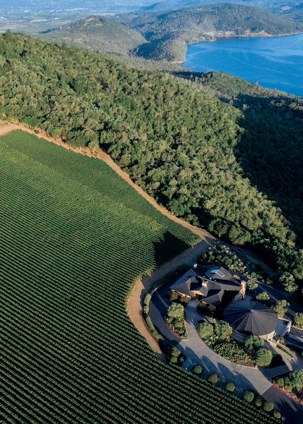 © Colgin Cellars