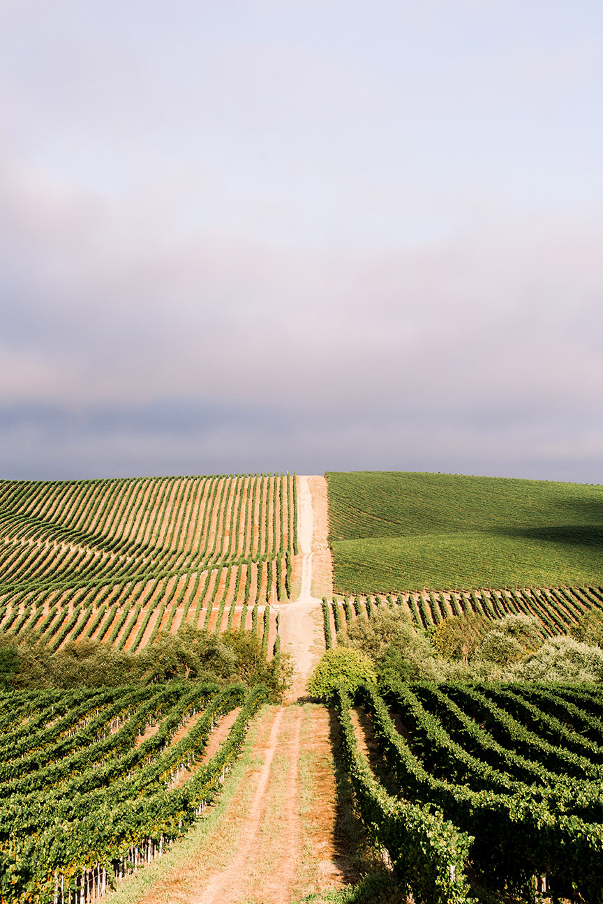 © Chandon California