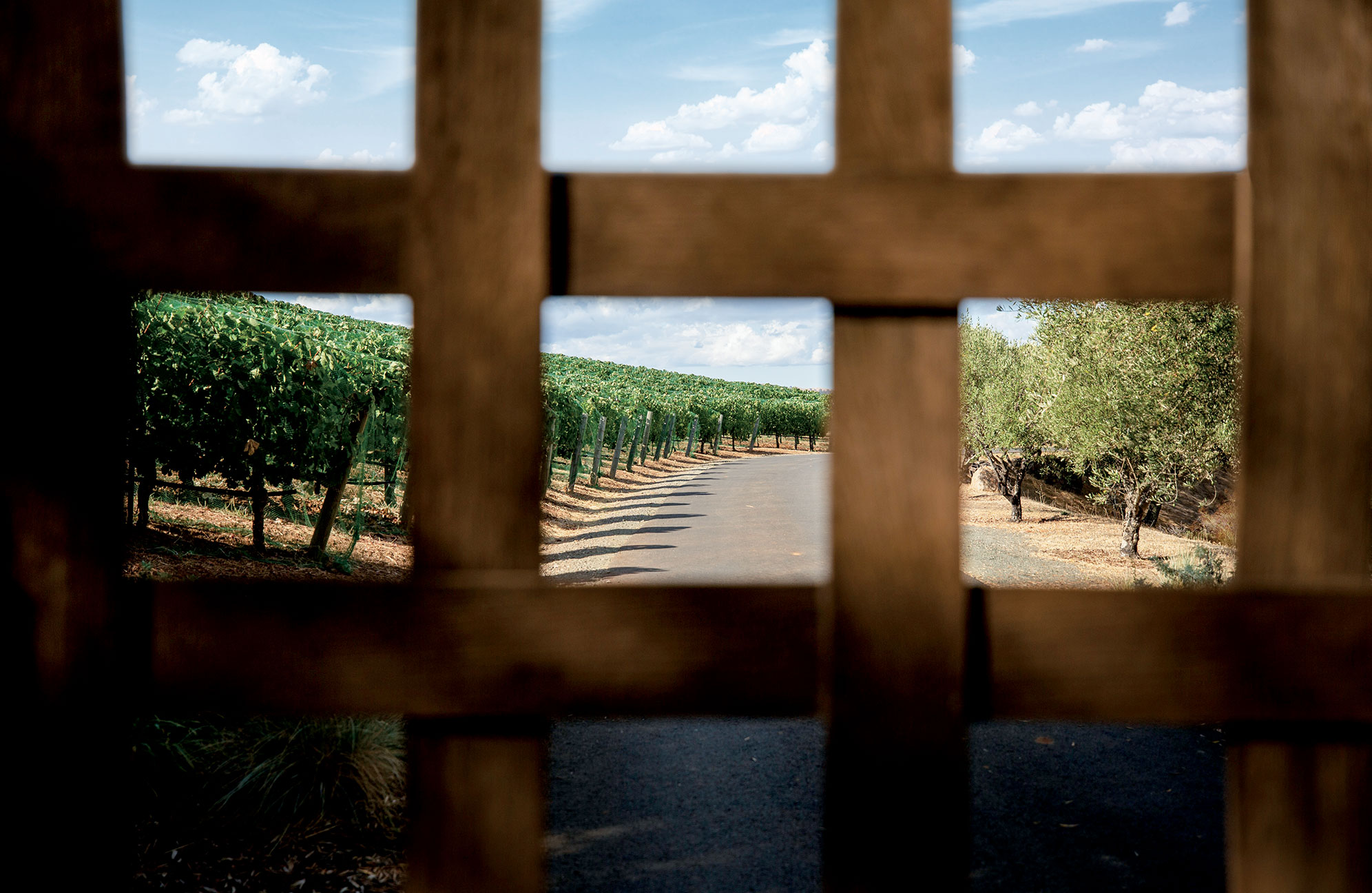 九号庄园的入口 © Colgin Cellars